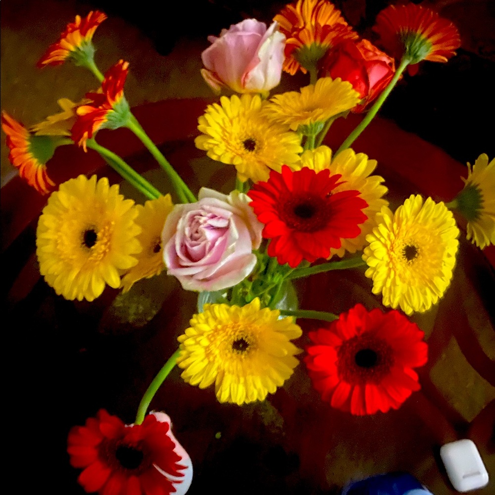 Meet your Posher, Nareen